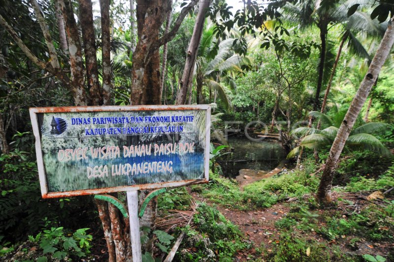 POTENSI WISATA BAHARI BANGGAI KEPULAUAN